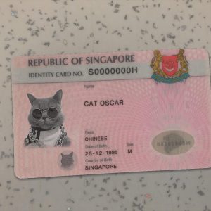 Singapore Identity Card Template