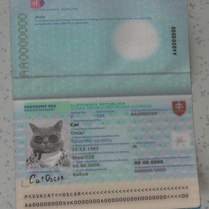 Slovakia Passport Template