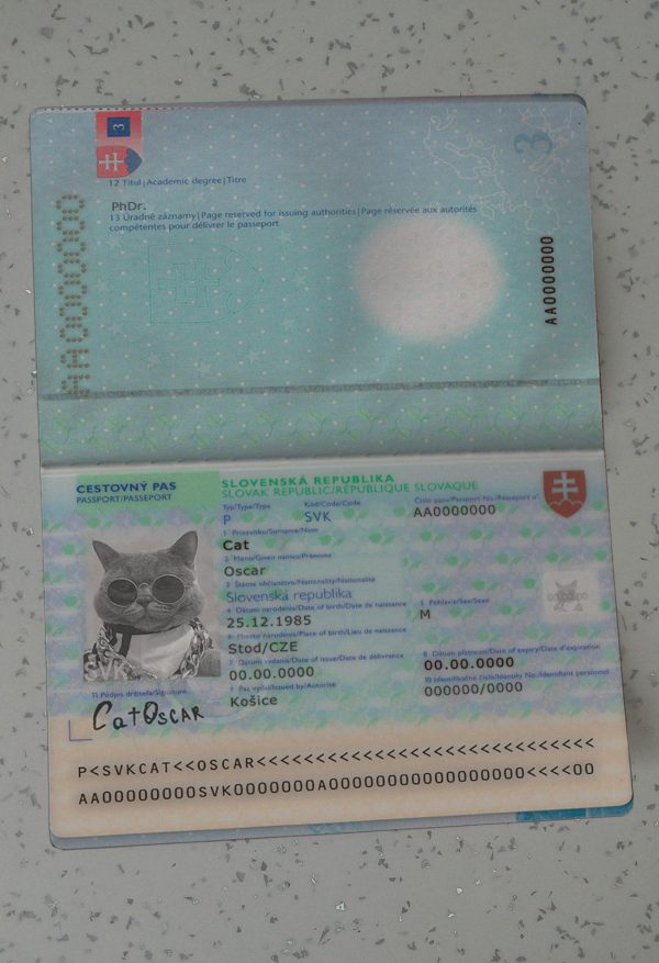 Slovakia Passport Template