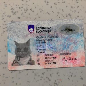 Slovenia Identity Card Template
