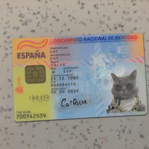 Spain Identity Card Template
