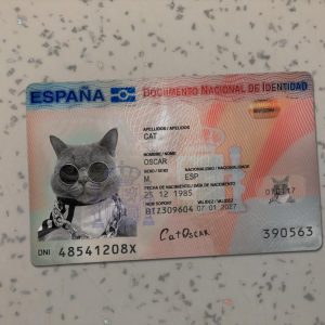 Spain Identity Card New Template