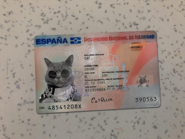 Spain Identity Card New Template