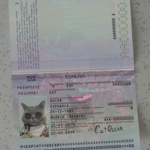 Spain Passport Template