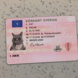 Sweden Driver License Template
