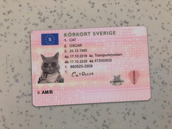 Sweden Driver License Template