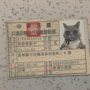 Taiwan Driver License Template