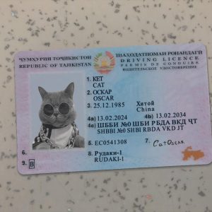 Tajikistan Driver License Template