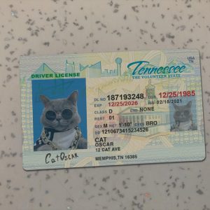 Tennessee Driver License Template
