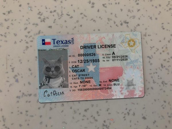 Texas Driver License Template New