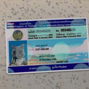 Thailand Driver License Template