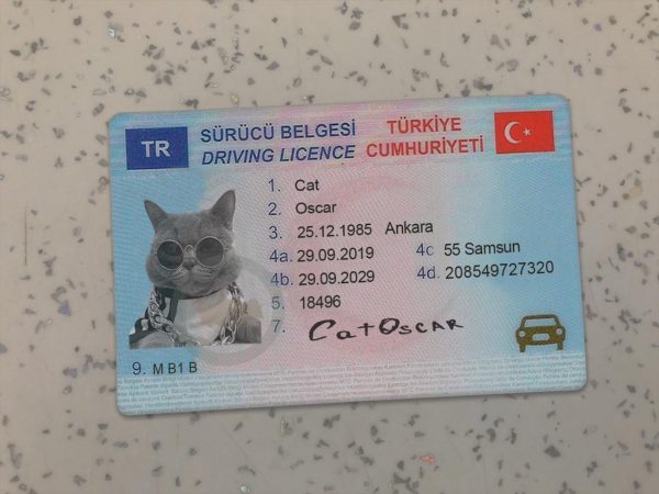 Turkey Driver License Template