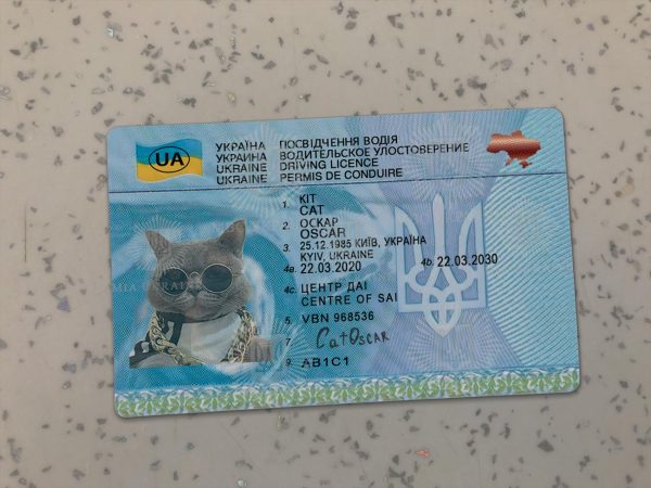 Ukraine Driver License Template