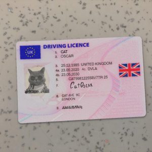 United Kingdom Driver License Template