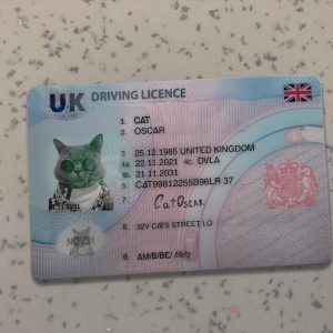 United Kingdom Driver License Template New