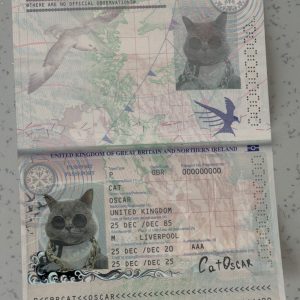 United Kingdom Passport Template