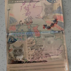 United Kingdom Passport Template Photo