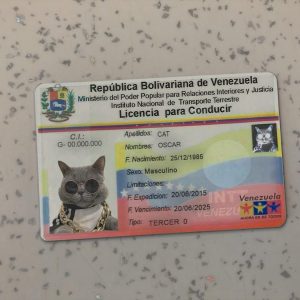 Venezuela Driver License Template