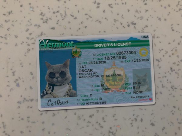 Vermont Driver License Template