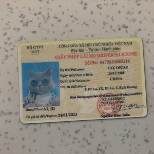 Vietnam Driver License Template