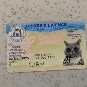 Western Australia Driver License Template