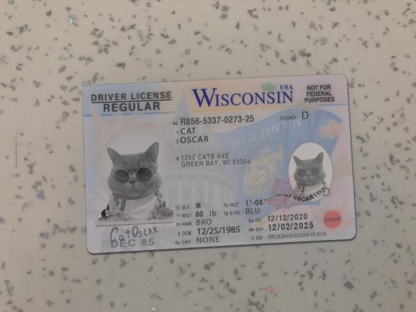 Wisconsin Driver License Template