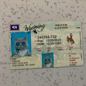 Wyoming Driver License Template