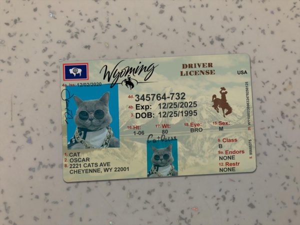 Wyoming Driver License Template