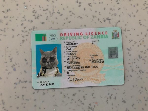 Zambia Driver License Template