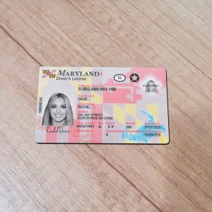 An editable template of a Maryland driver license, featuring a realistic design for customization, including fields for personal information, photo, and signature.