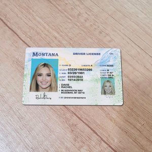 An editable template of a Montana driver license, featuring a realistic design for customization, including fields for personal information, photo, and signature.