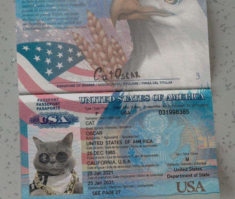 USA Passport Template